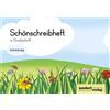 Schönschreibheft in DS: linkshändig (Tascabile)