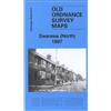 Steph Mastoris Swansea (North) 1897 (Map) Old Ordnance Survey Maps of Glamorgan