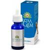 SARANDREA MARCO &C. Sarandrea Extragem Flogosistem Gocce 20ml