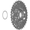 SHIMANO CS-R8101 Pignone Silver/Black One Size