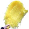 MFWHEFJ Ventagli di Piume 10 pz/Lotto Eleganti Piume Naturali 50-55 cm for Artigianato Matrimonio Festa Forniture Carnevale Ballerino Decorazione piumaggi(Yellow)
