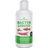 NatureHolic - Crusta Bacter Liquid I microrganismi per l'acquario I ottimizza i biofilm I stabilizza Il Sistema Biologico I per Animali vitali e sani I 125ml