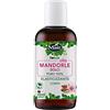 Matt Forsan, Olio Mandorle Dolci, Olio Elasticizzante per il Corpo, Olio di Origine Vegetale e Senza Profumo, Nutre ed Idrata la Pelle, Ideale per Prevenire le Smagliature, Adatto per Pelle Secca, 250 ml