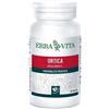 ERBA VITA GROUP SpA Ortica flacone 60 capsule