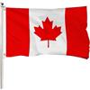 FSFLAG Bandiera del Canada, 9,6 x 1,5 m, in poliestere rinforzato 400D con due occhielli in ottone, bandiere del Canada per esterni artigianale resistenza allo sbiadimento bandiera del Canada