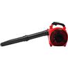 JAYEUW Aspiratore portatile a benzina da 25,4 cc, motore a 2 tempi, 7000 giri/min, soffiatore portatile a benzina, 750 W, soffiatore a gas portatile da 4,59 ft³/h, aspiratore portatile con serbatoio da 0,9 l
