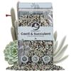 Sybotanica - Mix minerale per cactus e succulente - Substrato SYBAStones - 100% senza moscerini del terriccio - Dura anni - ~180 giorni di nutrimento