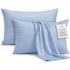 DEGREES HOME Federa per Cuscino in Microfibra Extra Morbida e Traspirante - Set da 2 Federe Anallergiche e Antipiega - Misura 80 x 80 cm