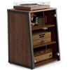 FITUEYES Mobile HIFI con 4 Ripiani Mobile Giradischi con Ripiani Regolabili Protezione del dispositivo per Amplificatore/Turno/Xbox One/Stampante Serie Eiffel
