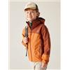 DARE2B Dare 2b Explore III jkt Giacca Trekking Bambini