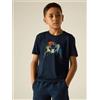 DARE2B Dare 2b Amuse III tee T-Shirt Trekking Bambini