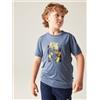 DARE2B Dare 2b Amuse III tee T-Shirt Trekking Bambini