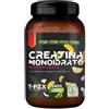 T-Rex Creatina Monoidrato Integratore Gusto Tropicale 250g