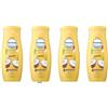 Italy Shop Service Leocrema - 4 creme idratanti per il corpo con cocco, idratazione intensiva per 72 ore, per tutti i tipi di pelle, 250 ml, + portachiavi Italy Shop Service 0