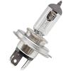 motodak P2R (motorizzata) lampadina 12 V 35 - 35 W norma HS1 attacco PX43T standard bianco (proiettore) (P2R-