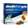 SHEDIRFLU GOLA MENT/EUC 48PAST - SHEDIR - 944792353