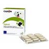 CAMON HYBRID 30CPR - CAMON - 971084456