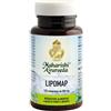 LIPOMAP 120CPR - - 902508720