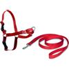NAYECO Imbracatura PetSafe Easy-Walk ROSSA TAGLIA XL