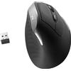 Ewent EW3229 Mouse ottico ergonomico nero