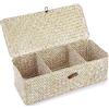 SUMNACON - Cestino portaoggetti in fibra di posidonia con coperchio, cestino in vimini naturale a 3 scomparti, cestino multifunzionale per scaffale, cestino rettangolare intrecciato in rattan per