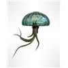 Generic Jellyfish Pianta aerea XL - Riccio di mare in vetro verde smeraldo (ca. 13 cm) con Tillandsia - Fatto a mano e di facile manutenzione - Decorazione da appendere - Idea regalo - Trendyairplants