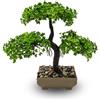 VIRSUS Bonsai Artificiale 84026, misura 24x24 cm, Pianta Finta in vaso, Pianta di Bonsai di Pino Giapponese, per Decorazioni per hotel, uffiio, casa, esterno
