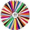 KGS Cerniere Lampo #3 in Nylon, 20 Colori Assortiti Arcobaleno, Chiusura Lampo (Zip) per Cucito, Sartoria, Fai da Te e Artigianato - Confezione da 20 Pezzi (20 pezzi (40 colori), 23 cm / 9 pollice)