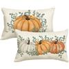 Artoid Mode Set da 2 Federe Cuscini Autunnali Zucche Eucalipto 30x50 cm | Stagionali Fall Decorazioni per Divano Salotto