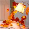 Meleager Luci Decorazioni Autunno, 1.5M 10 Luminosa Foglia d'Acero e Ghianda, LED Lucine a Batteria per Decorare Finestre, Tavola, Caminetti per Autunno, Thanksgiving, Halloween, Natale