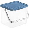 Rotho Basic Scatola di stoccaggio 5l con coperchio e maniglia, Plastica (PP) senza BPA, trasparente/blu, 3kg/5l