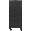 Endingfuny Valigetta per trucchi, a 4 ruote, con 3 cassetti, per trucchi, per trucchi, trucchi, colore nero