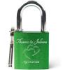 GRAVURZEILE Lucchetto dell'amore con incisione - Lucchetto personalizzato con 2 chiavi in verde - 2 nomi e data - Idea regalo per San Valentino - Regalo per Lei - Compleanno regalo d'amore matrimonio