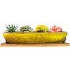ARTKETTY Vasi per piante grasse in ceramica, 25 cm, moderni, lunghi, rettangolari, con vassoio, per cactus e bonsai, con drenaggio, per interni ed esterni, decorazione per la casa (giallo)