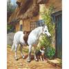 LUCAS Luca-S B572 - Schema punto croce in cotone, multicolore, 42,5 x 34 cm