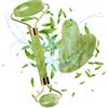 ProjectFont Rullo di Giada per il Viso, Gua Sha, Massaggiatore Lifting Viso e Corpo Jade roller Pietra per Lenire la Pelle Eliminare il Gonfiore degli Occhi Rilassante, Skincare Completo, Regalo di Natale