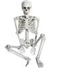 AOFOX 165cm Halloween a grandezza Naturale Scheletro Intero Corpo Umano Ossa con articolazioni mobili per Il cimitero Spaventoso della casa infestata del cimitero (165cm)