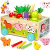SACBRZZ Giochi Montessori 1 Anno, 6-in-1 Giochi Montessori 2 Anni, Magnetici Di Pesca in Legno, Abilità Motorie Giocattoli Educativi, Bambini Regalo per 1 2 3 4 Anni Compleanno Maschio Femmina