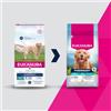 Eukanuba Daily Care Cane Adulto Sovrappeso e Sterilizzato al Pollo 12 kg
