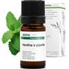 Aroma Labs Menta Piperita BIO (Mentha x piperita) - 5 mL - Olio Essenziale Chemiotipizzato e Certificato AB - Digestione - Aroma Labs - Made in France