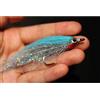Tigofly Set di esche da pesca con amo ad elevato carbonio, 10 pz, 10 colori, 1/0 4 cm, olografiche/argento, per salmone, trota, spigola, trota arcobaleno, alborelle