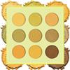ALIIP Professional Makeup Palette Ombretti Ad Alta Pigmentazione, 9 Colori Neutri Sfumabili, con Finish Matte, Shimmer e Glitterati per Look Soft Glam Trucco- Giallo
