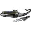 GIANNELLI MARMITTA SCOOTER REVERSE CPI 50'06OLIVER CITY OMOLOGATA CEE E13 VERN.TRASP SILENZIATORE KEVLAR