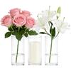 Alitree Set di 3 Vasi Cilindrici in Vetro Borosilicato, Vasi in Vetro per Candele, Rotondo Moderno Caso, Vaso Vetro Trasparente per Composizioni Floreali, Matrimoni e Decorazioni Fai da Te, 8,5x15 cm