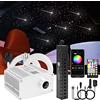CHINLY Bluetooth Meteor 10W RGBW Twinkle LED Kit plafoniere a stella in fibra ottica APP/telecomando misto 400 + 8 = 408 pezzi * (0,5 + 0,75 + 1,0 mm) * fibra ottica 3 m per casa/auto