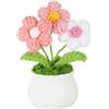 PATIKIL Fiori Uncinetto Vaso, Piante Miniatura Fatte a Mano a Maglia, Fiori Artificiali Pizzo per Regali di San Valentino e Decorazioni per Casa, Ufficio e Tavoli, Rosa Bianco