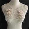 GIVBRO Toppa Ricamata con Applique in Pizzo 3D a Motivo Fiore per Collo, per Cucito, Decorazione per Abito, Accessori per Costumi, Beige