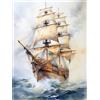 MIRONS Kit Punto Croce 11CT, Nave a vela che naviga sul mare, S, 30 * 40 cm Set Schemi Punto Croce Kit da Ricamare Prestampato Principianti, Punto Croce da Ricamare Ricamo Kit Completo Prestampati