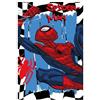 PELLECCHIA 1969 |Coperta, Plaid Design, Coperta per Divano Letto, Morbido e Caldo Pile, Regalo per Bambino/a compatibile con (SPIDER-MAN 2, 100 X 150)