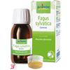 BOIRON SRL FAGUS SYLVATICA BOIRON MACERATO GLICERICO 60 ML